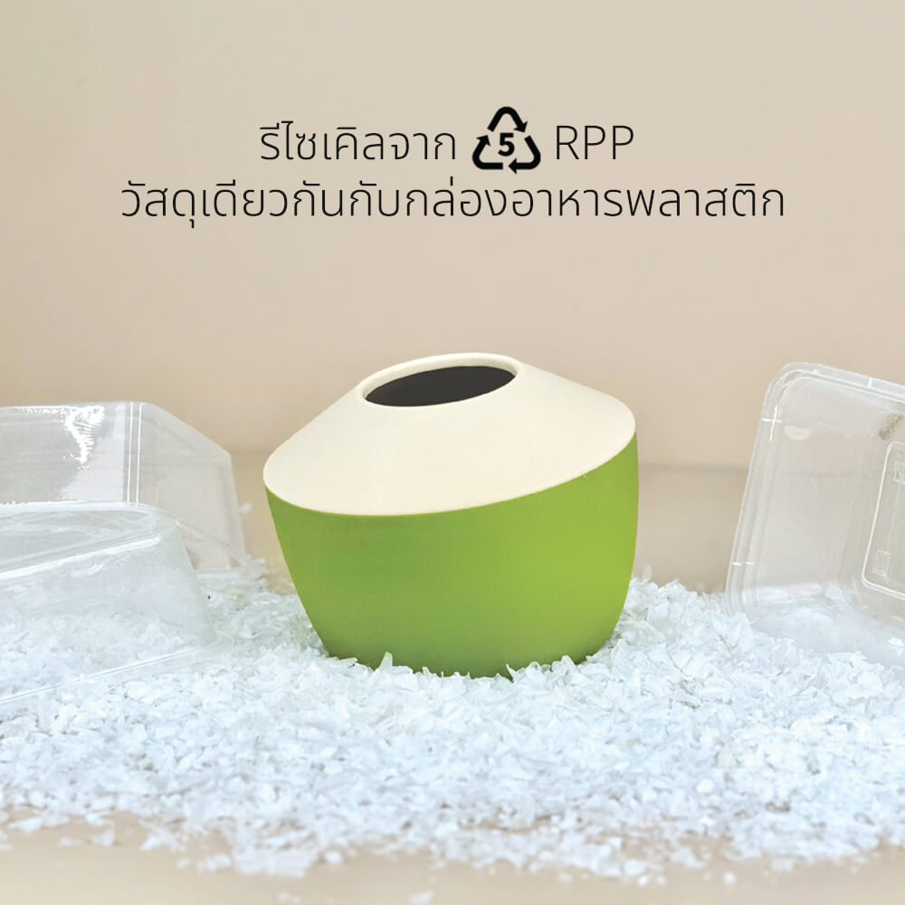 กล่องทิชชู QUALY ดีไซน์มะพร้าว สีเขียว